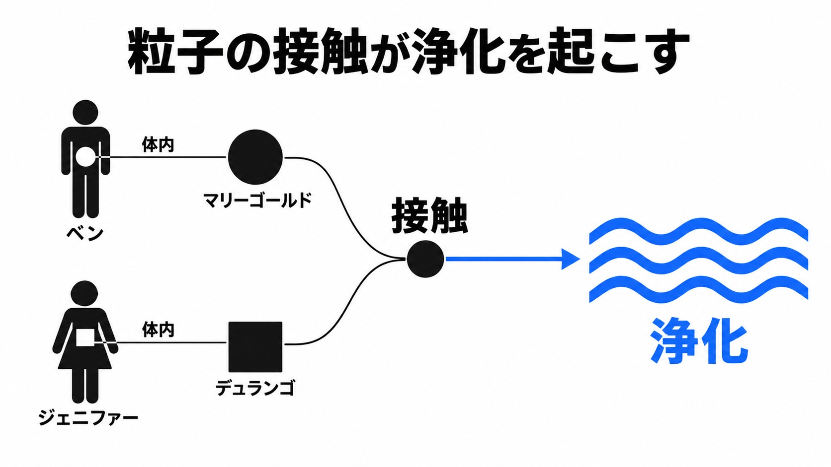 ベンとジェニファーの粒子接触と浄化
