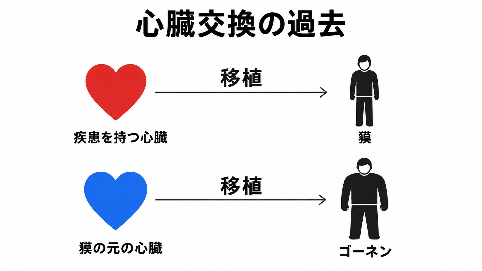 貘とゴーネンへ移植された心臓